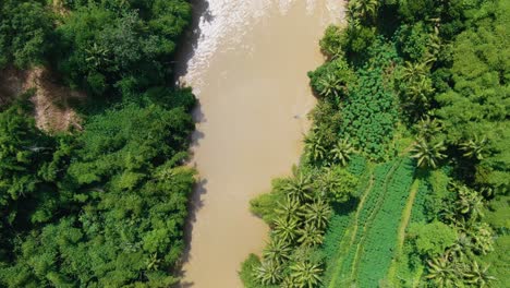 top view on progo river and lush tropical vegetation on java, indonesia