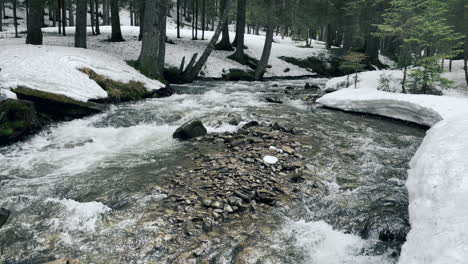 río en la nieve en vista de invierno. arroyo de primavera que fluye en el bosque con nieve derretida.