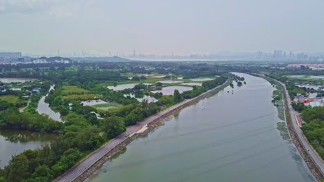 a dynamic descending aerial footage of the green farm in yuen long, hong kong