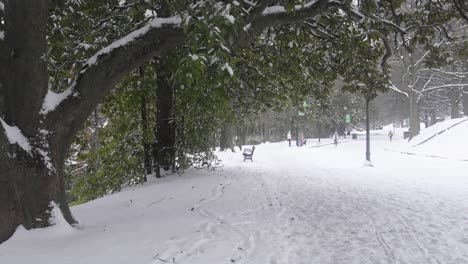 a snow covered path in atlanta's piedmont park on january 10th, 2025.