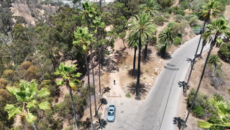 elysian park flying in fast