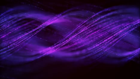 motion graphic : artistic wave lines