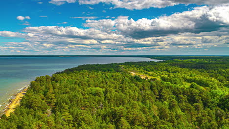 Dichtes-Dickicht-Bedeckt-Die-Küstenlinie-Unter-Einer-Wolkenlandschaft-Im-Blauen-Himmel