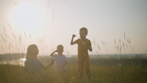 in a warm, sunlit field, a woman sits on the grass while a little boy bends beside her and another boy stands nearby. they joyfully blow bubbles into the air, creating a serene and playful atmosphere