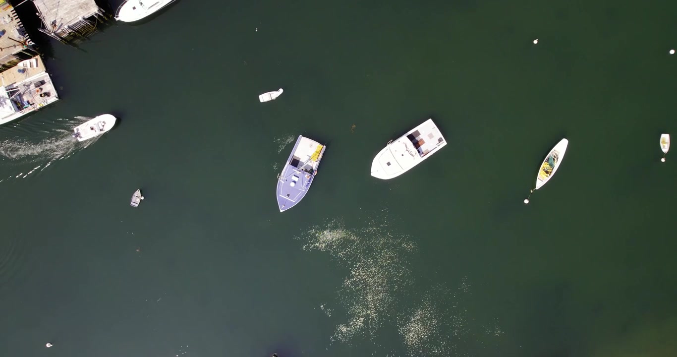 New Harbor, Bristol, Maine'deki ıstakoz teknelerinin spiral drone çekimi