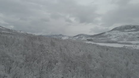 Neuschnee-Verwandelt-Landschaft-In-Fantasieland,-Drohnenflug