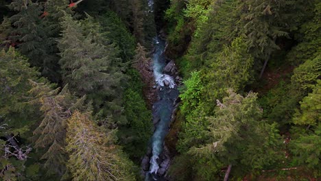 Vista-Panorámica-Aérea-Estacionaria-Del-Rápido-Río-Que-Fluye-A-Través-Del-Bosque-Siempre-Verde-En-Carbonado,-Estado-De-Washington