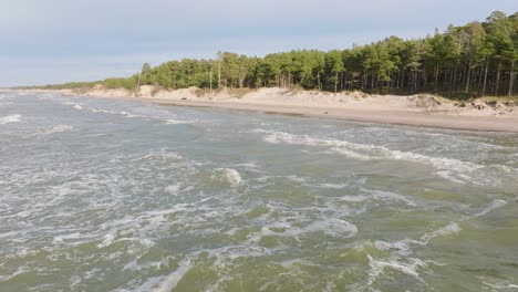 Aerial-establishing-view-of-Baltic-sea-coast,-sunny-day,-white-sand-seashore-dunes-damaged-by-waves,-pine-tree-forest,-coastal-erosion,-climate-changes,-wide-ascending-drone-shot-moving-forward