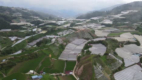 general landscape view of the brinchang district within the cameron highlands area of malaysia