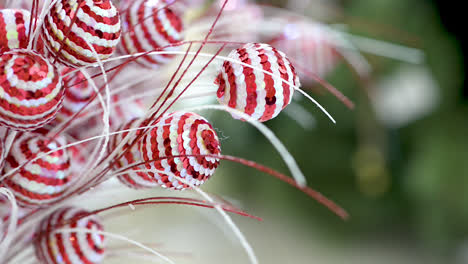 Christmas-red-and-white-ornaments-at-first-plane