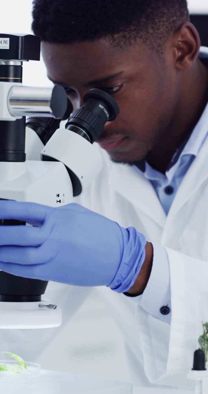 Scienziato che esamina un campione di pianta al microscopio in laboratorio