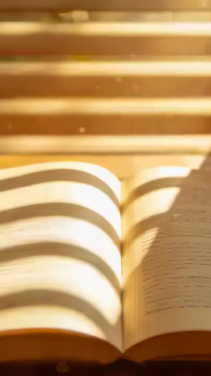 Video vertical: Sol moviéndose a través de las lamas haciendo que la cámara se eleve mostrando un libro abierto y partículas de polvo para leer el texto.