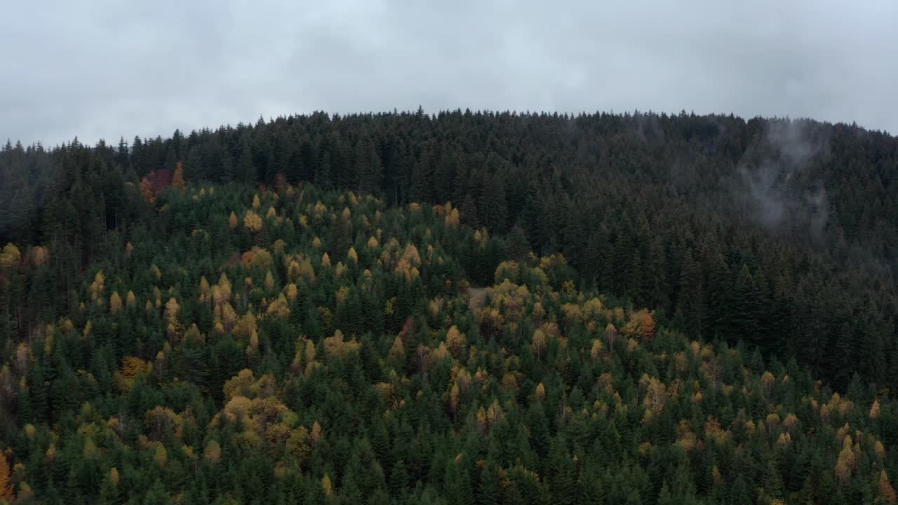 Sorvolo aereo di una collina boscosa con colori autunnali e nuvole basse