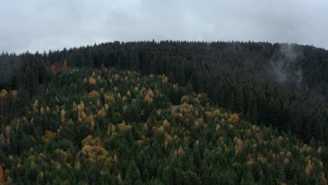 Aerial-flyover-forest-hillside-with-autumn-colors-and-low-clouds