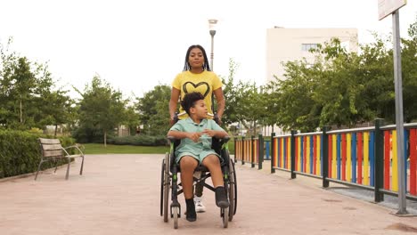 woman pushing a child in a wheelchair in a park