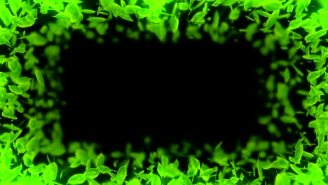 spin of falling green leaves,cg animation,loop