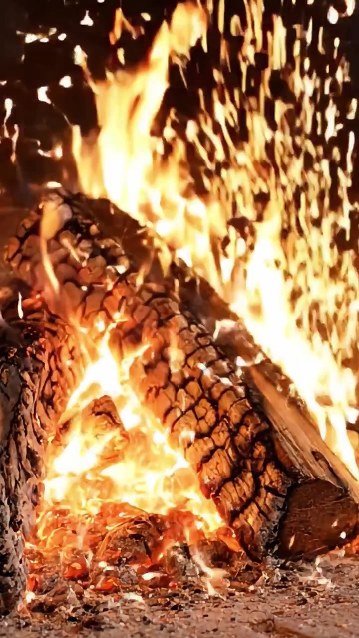 Chamas Cativantes Dançam Entre Troncos Carbonizados: Uma Exibição Sinfônica do Poder Elemental da Natureza Evocando Calor e Conforto em um Ambiente Aconchegante