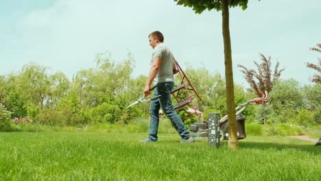 a gardener clipping the pine tree with shears standing on a stepladder in the summer garden