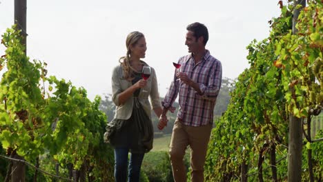 happy couple toasting a glass of red wine while walking in field