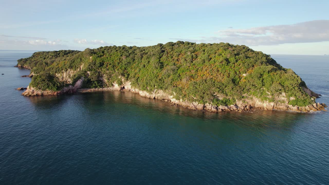 Lush Green Coastal Island from Above