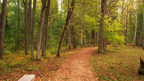 Estanque-Y-Parque-De-La-Ciudad-De-Gulbene