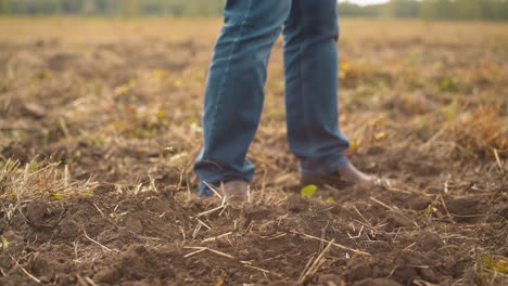 trabalhador ajusta o solo com a pá preparando o campo para o plantio