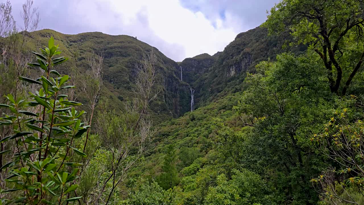 Cascata do Risco a Madeira che scende da ripide scogliere verdi con una lussureggiante foresta di laurisilva, acqua fresca di montagna e una drammatica cascata verticale che crea filmati di viaggio naturalistici suggestivi e d'atmosfera