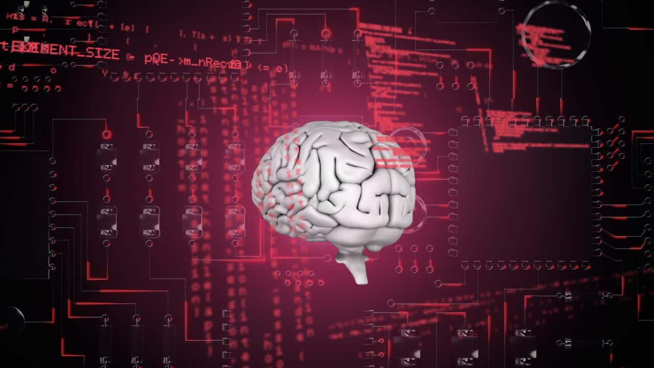 컴퓨터 회로판에 회전하는 회색 뇌