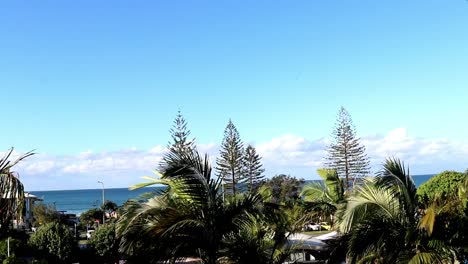 Der-Blick-Auf-Baumwipfel-Und-Einen-Strand-In-Der-Ferne