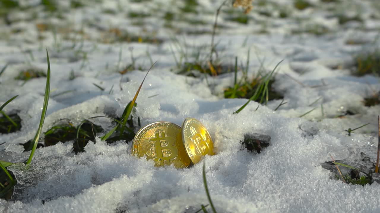 두 개의 황금색 노란색 반사 비트코인 암호화폐 동전은 겨울 동안  눈과 얼음으로 인 땅 위에 놓여 있으며, 녹색 풀이 눈 속에서 자라고 있습니다.