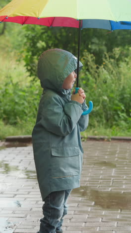 child with umbrella stands in rainy park. little boy in hooded jacket hides under colorful parasol enjoying warm rain in city garden. walking at gloomy weather