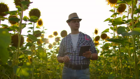 Un-Profesor-De-Biología-Con-Sombrero-De-Paja-Y-Camisa-A-Cuadros-Camina-Por-Un-Campo-Con-Muchos-Girasoles-Grandes-En-Un-Día-De-Verano-Y-Escribe-Sus-Propiedades-En-Su-Libro-Electrónico.