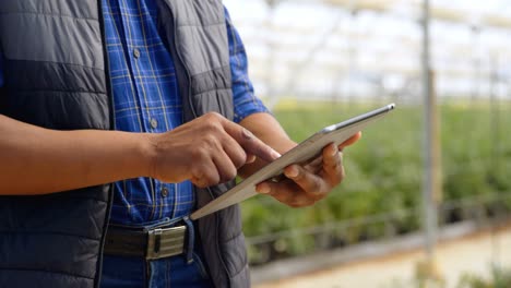 Man-using-digital-tablet-in-blueberry-farm-4k