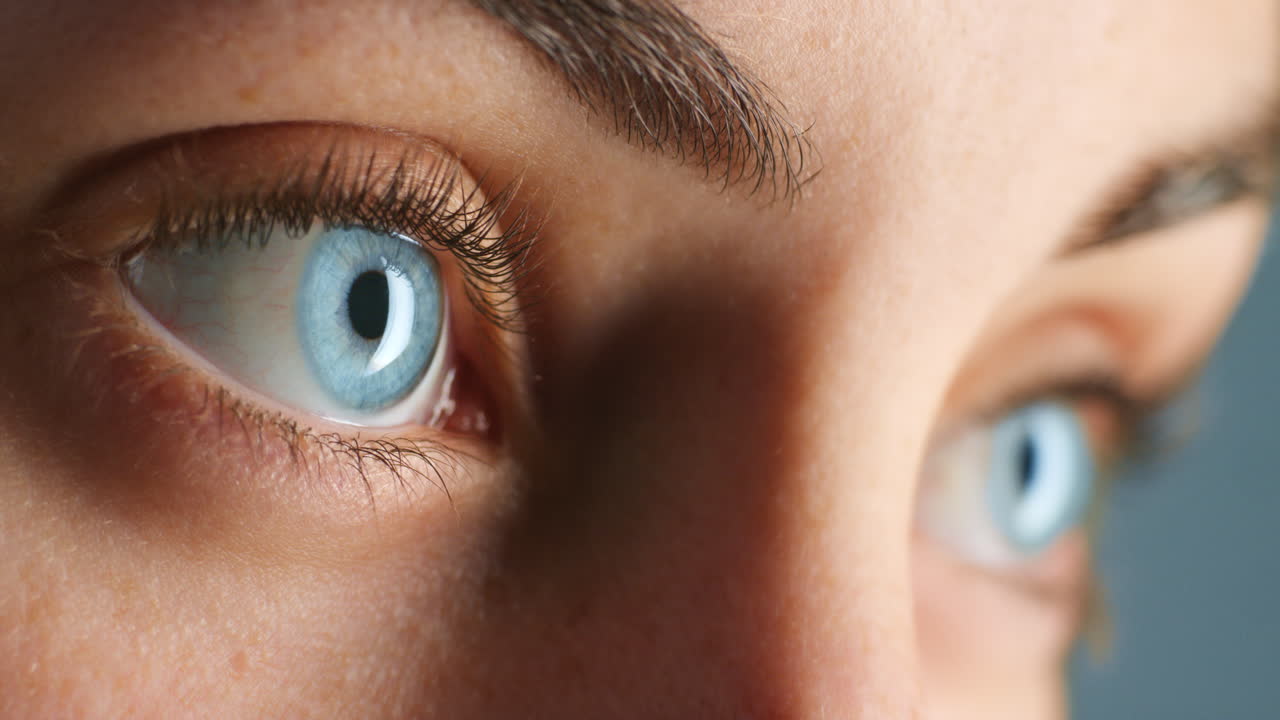 시력, 눈 및  ⁇ 의 아름다움 눈 모델