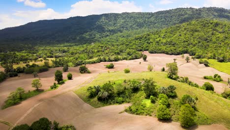 4k hdr drone footage of farmland and agriculture with the hillside in background located in tropical thailand