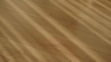 wooden floor with sunlight shadows