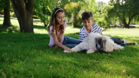 Geschwister-Spielen-Mit-Ihrem-Hund-Im-Park