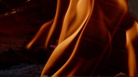 orange flames flicker and dance on a black background