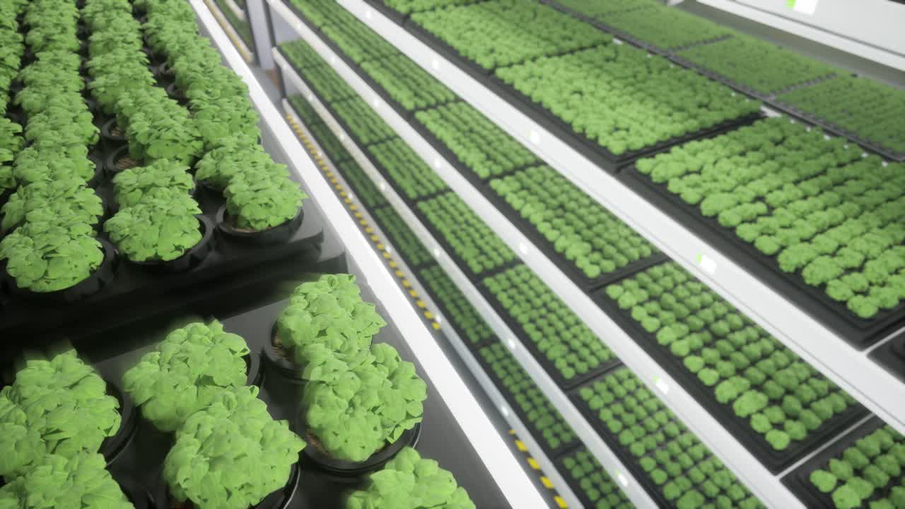 Fattoria verticale moderna con piante idroponiche e illuminazione a LED