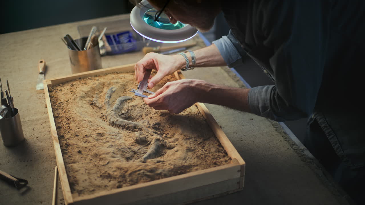 палеонтолог исследует окаменелость следа динозавра