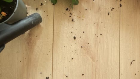 Cleaning up spilled dirt with a vacuum cleaner