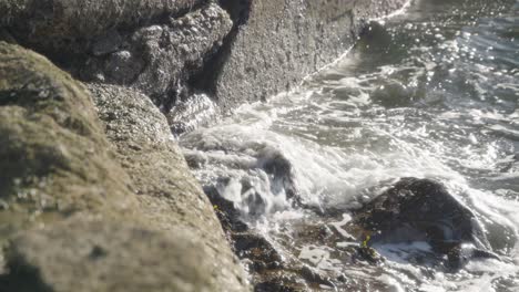 entorno al aire libre, movimiento de las aguas superficiales, movimiento de la marea entrante, cámara lenta