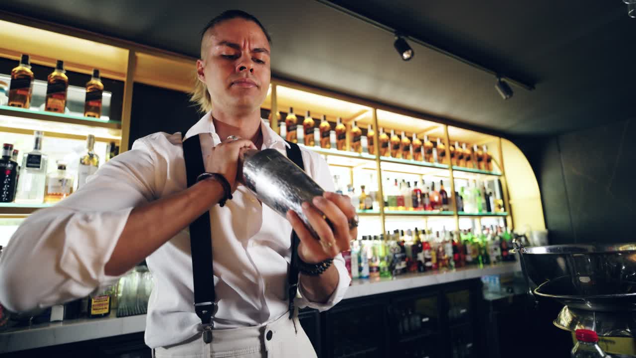 Professioneller Barkeeper schüttelt einen Cocktail in einer modernen Bar