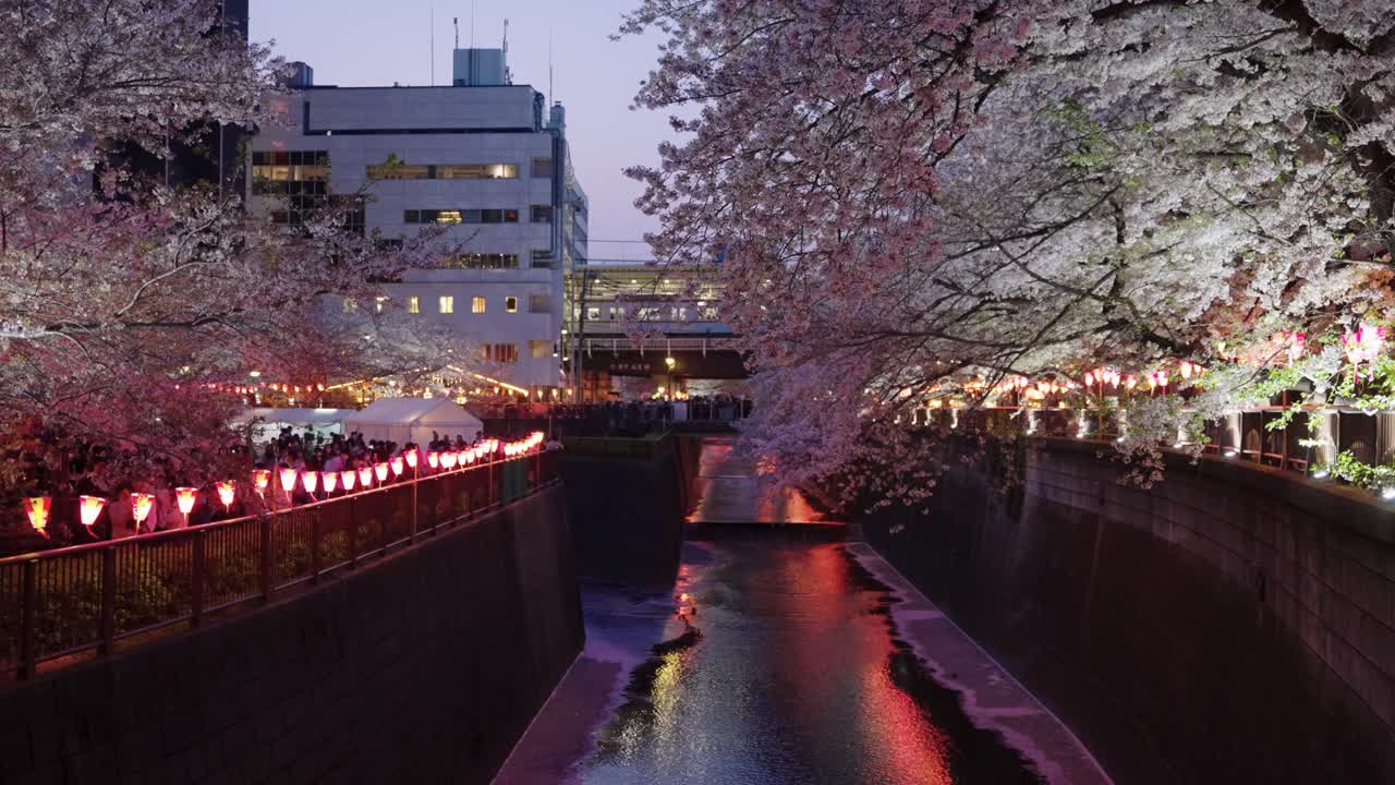 la línea sakura el río nakameguro a primera hora de la noche cuando llega el tren