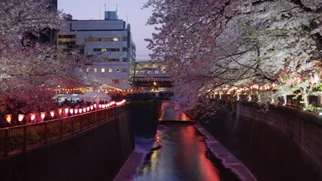 Sakura-Säumen-Am-Frühen-Abend-Den-Nakameguro-Fluss,-Wenn-Der-Zug-Ankommt