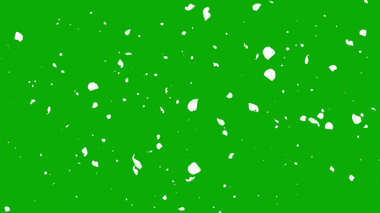 녹색 화면 배경으로 날아다니는  입자 모션 그래픽