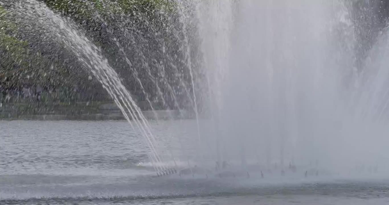 Un affascinante spettacolo di fontane in un parco cittadino che mette in mostra la bellezza dell'acqua nella natura.