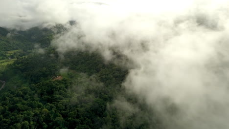 un impresionante paisaje aéreo de una montaña de selva tropical verde y exuberante