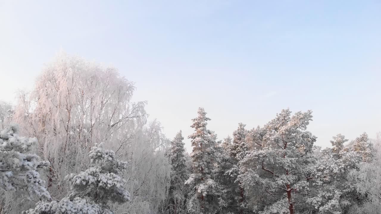 눈 오는 날씨에 나무 사이를 비행하는 드론