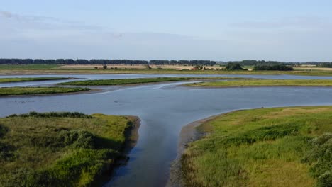 Aerial-low-altitude-orbit-over-the-Waterdunes---a-nature-area-and-recreational-park-in-the-province-of-Zeeland,-The-Netherlands